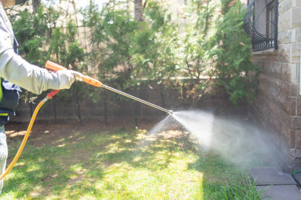 Best Insect Control  in Bolindale, OH