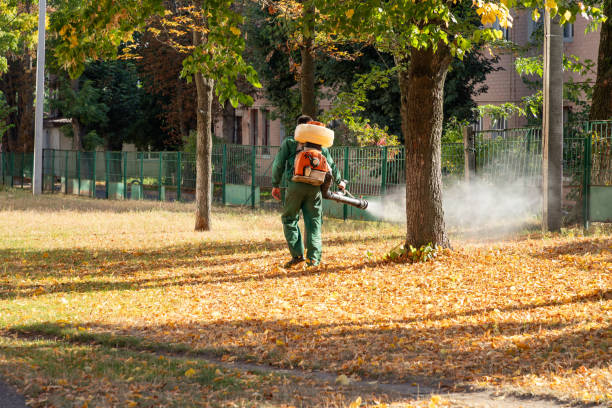 Best Affordable Pest Control Services  in Bolindale, OH